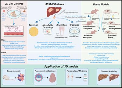 Advancements and application prospects of three-dimensional models for primary liver cancer: a comprehensive review